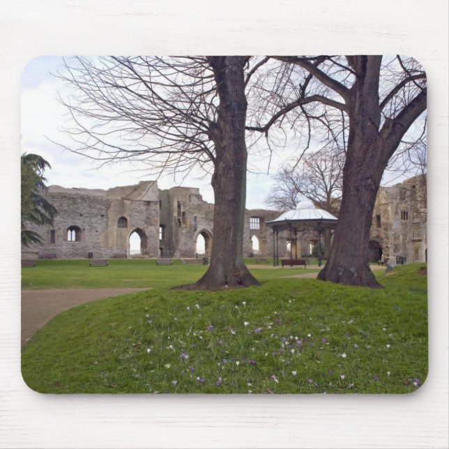 Mousepad Tapete do rato 25 do castelo (Frente)