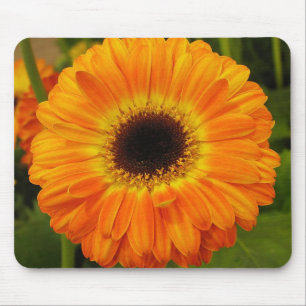 Mousepad Tapete do rato alaranjado da flor