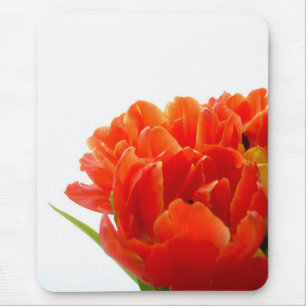 Mousepad Tapete do rato alaranjado das tulipas
