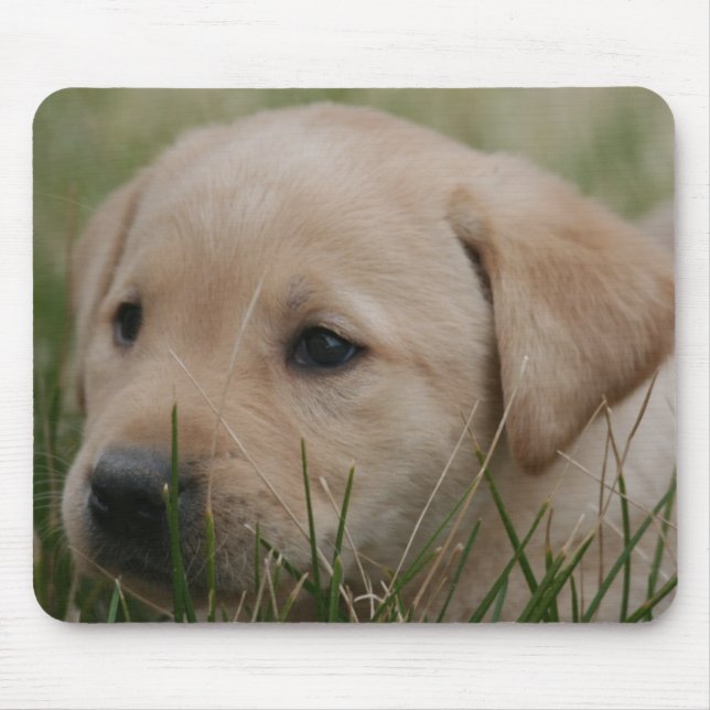 Mousepad Tapete do rato amarelo de labrador retriever (Frente)