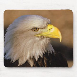 Mousepad Tapete do rato americano da águia americana
