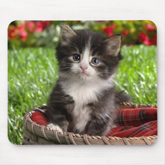 Mousepad Tapete do rato animal 14 (Frente)