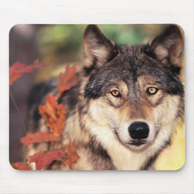 Mousepad Tapete do rato animal 36 (Frente)