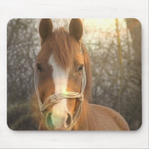 Mousepad Tapete do rato árabe do cavalo da castanha