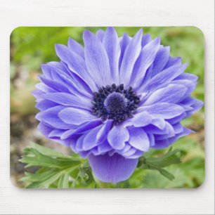 Mousepad Tapete do rato azul da flor do áster