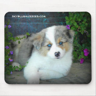 Mousepad Tapete do rato azul do filhote de cachorro de