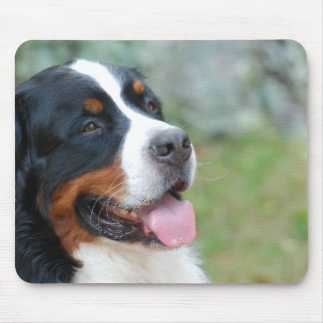 Mousepad Tapete do rato bonito de Bernese (Frente)