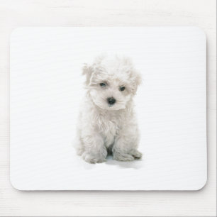 Mousepad Tapete do rato bonito de Bichon Frise