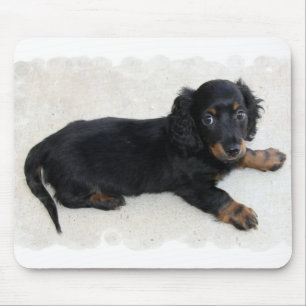 Mousepad Tapete do rato bonito de Daschund