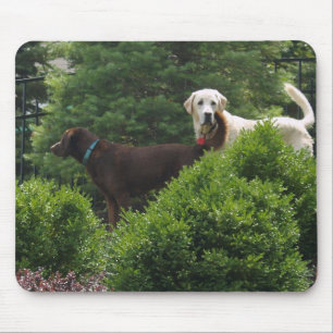Mousepad Tapete do rato bonito de Labrador