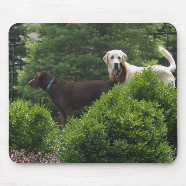 Mousepad Tapete do rato bonito de Labrador (Frente)