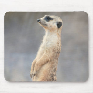Mousepad Tapete do rato bonito de Meerkat