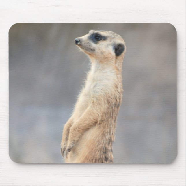 Mousepad Tapete do rato bonito de Meerkat (Frente)