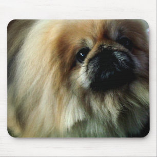 Mousepad Tapete do rato bonito de Pekingese