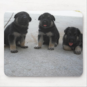 Mousepad Tapete do rato bonito do filhote de cachorro do