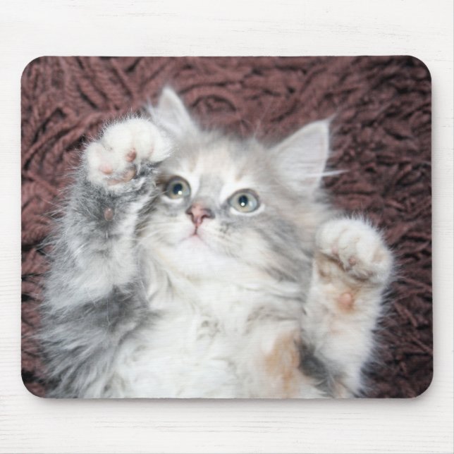Mousepad tapete do rato bonito do gatinho (Frente)