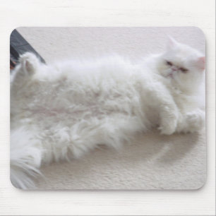 Mousepad Tapete do rato branco do gato persa