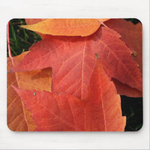 Mousepad Tapete do rato brilhante das folhas