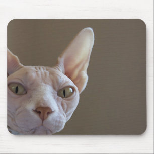 Mousepad Tapete do rato calvo do gato