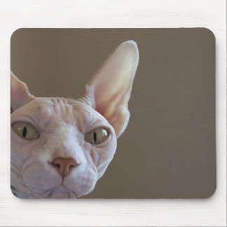 Mousepad Tapete do rato calvo do gato