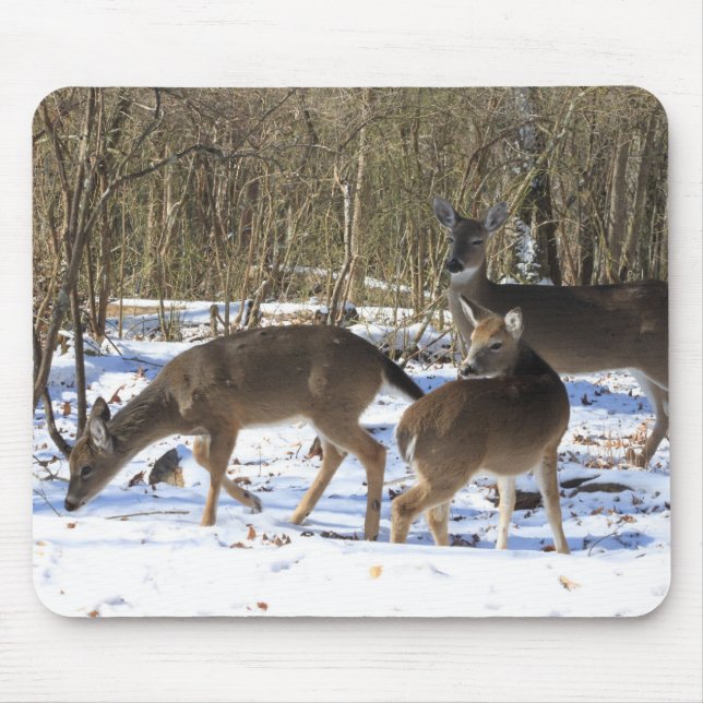 Mousepad Tapete do rato - cervo de Whitetail (Frente)