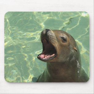 Mousepad Tapete do rato Chatty do leão de mar