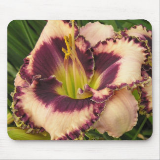 Mousepad Tapete do rato com o roxo Eyed no hemerocallis do