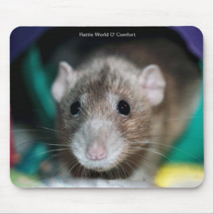 Mousepad Tapete do rato com um rato extravagante de Dumbo