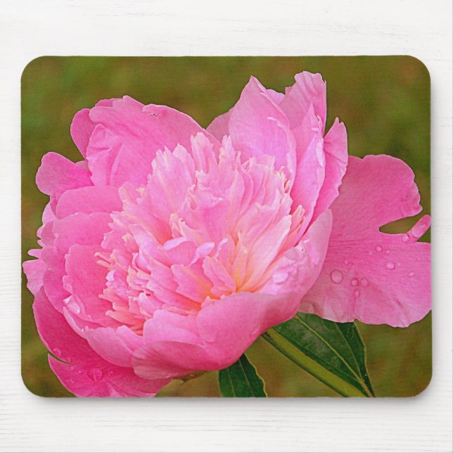 Mousepad Tapete do rato cor-de-rosa bonito da peônia (Frente)