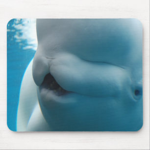 Mousepad Tapete do rato da baleia da beluga