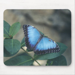 Mousepad Tapete do rato da borboleta