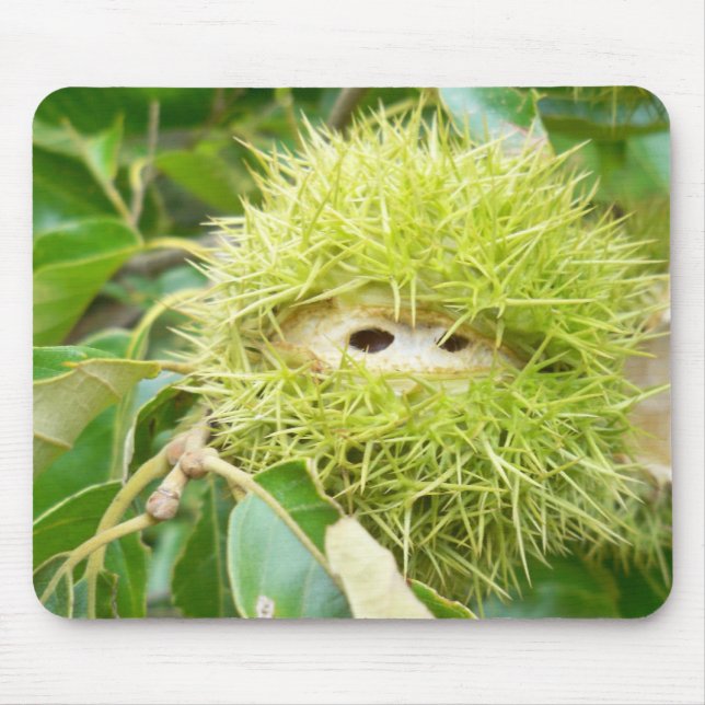 Mousepad Tapete do rato da castanha (Frente)