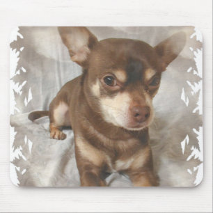 Mousepad Tapete do rato da chihuahua