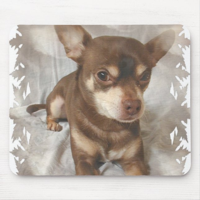 Mousepad Tapete do rato da chihuahua (Frente)