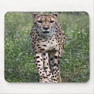 Mousepad Tapete do rato da chita