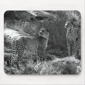 Mousepad Tapete do rato da chita