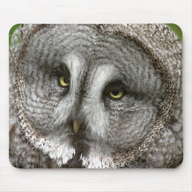 Mousepad Tapete do rato da coruja de grande cinza (Frente)