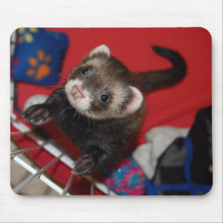 Mousepad Tapete do rato da doninha