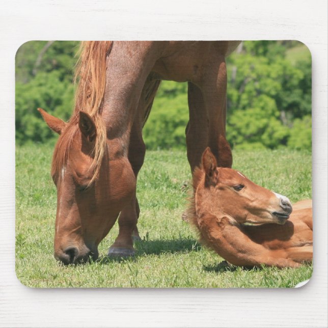 Mousepad Tapete do rato da égua e do potro (Frente)
