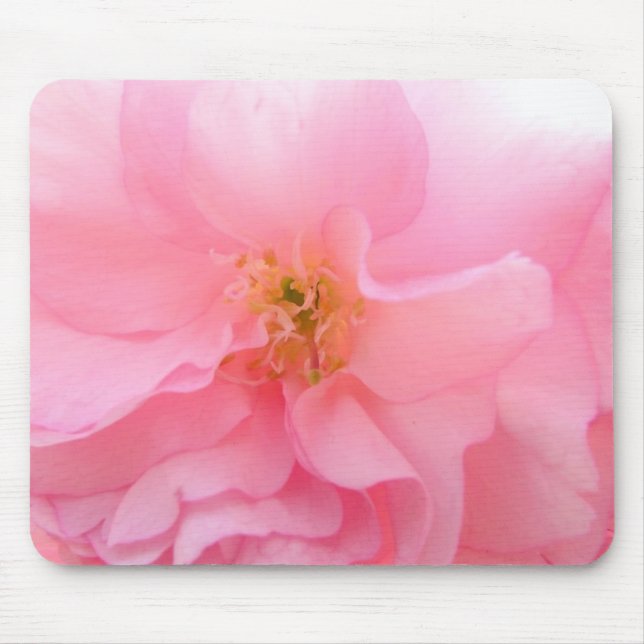 Mousepad Tapete do rato da flor de cerejeira (Frente)