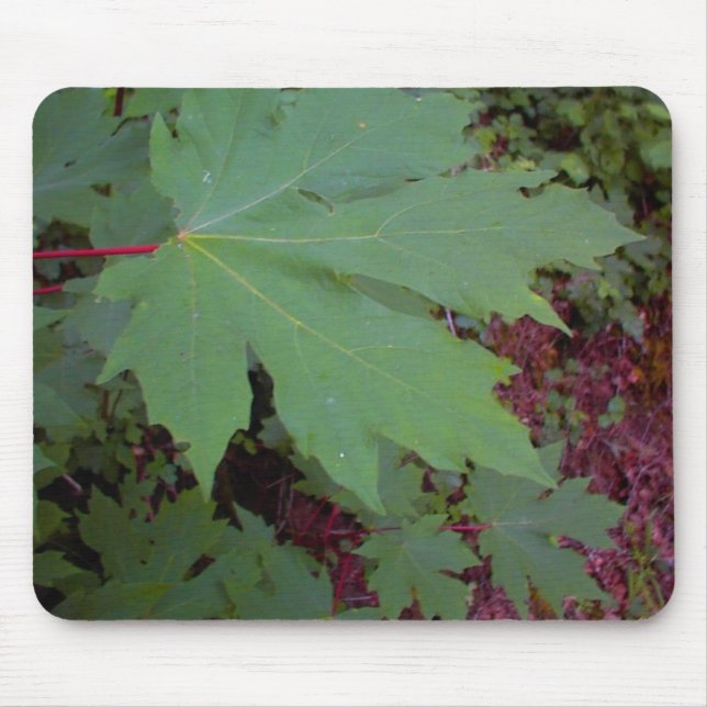 Mousepad Tapete do rato da folha de bordo (Frente)