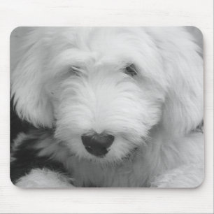 Mousepad Tapete do rato da foto do cão de carneiros