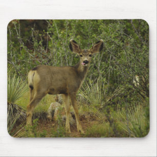 Mousepad Tapete do rato da framboesa dos cervos de mula