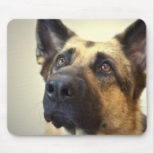 Mousepad Tapete do rato da imagem do german shepherd