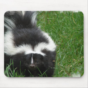 Mousepad Tapete do rato da jaritataca