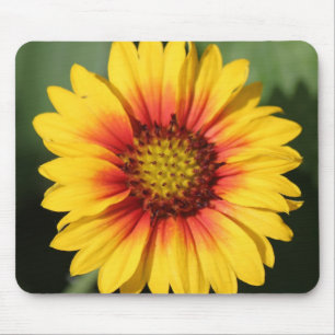 Mousepad Tapete do rato da margarida do Gerbera