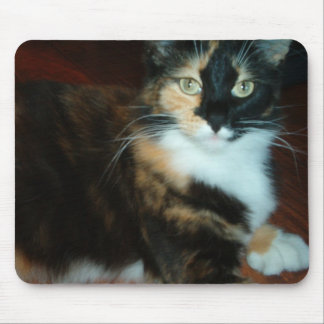 Mousepad Tapete do rato da qualidade da senhorita Chita