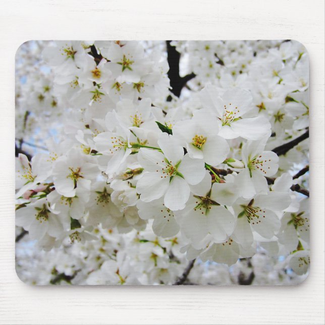 Mousepad Tapete do rato das flores de cerejeira 3 (Frente)