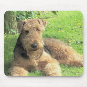 Mousepad Tapete do rato de Airedale Terrier
