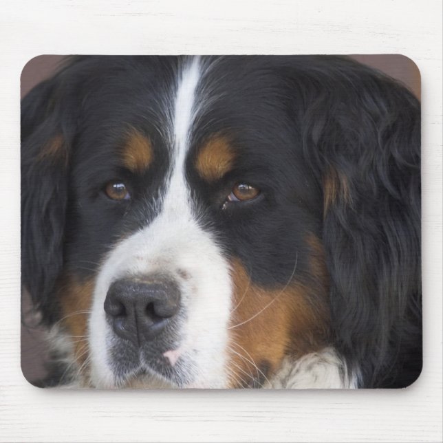 Mousepad Tapete do rato de Berner Sennenhund (Frente)